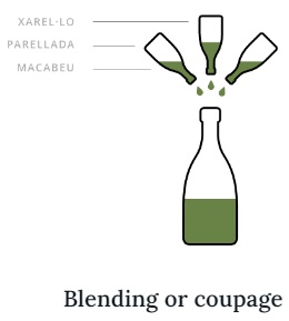 Nedílnou částí výroby šumivého vína je kupáž vín