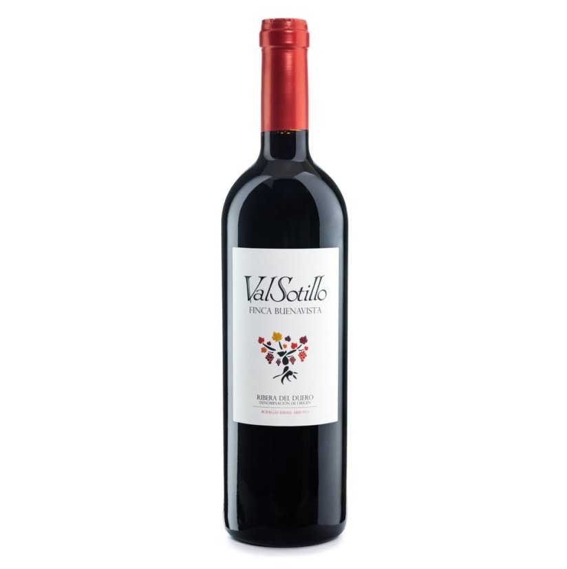ValSotillo Finca Buenavista