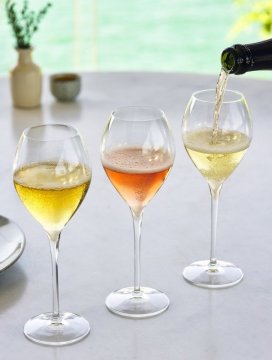 DO Cava a vynikající španělská Cava