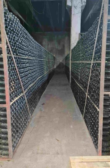Zrající Cava - to jsou nekonečné tisíce lahví Zrající Cava - to jsou nekonečné tisíce lahví