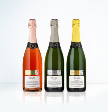 Šumivé víno Cava - kvalita a chuť blízká šampaňskému za zlomek ceny Šumivé víno Cava - kvalita a chuť blízká šampaňskému za zlomek ceny