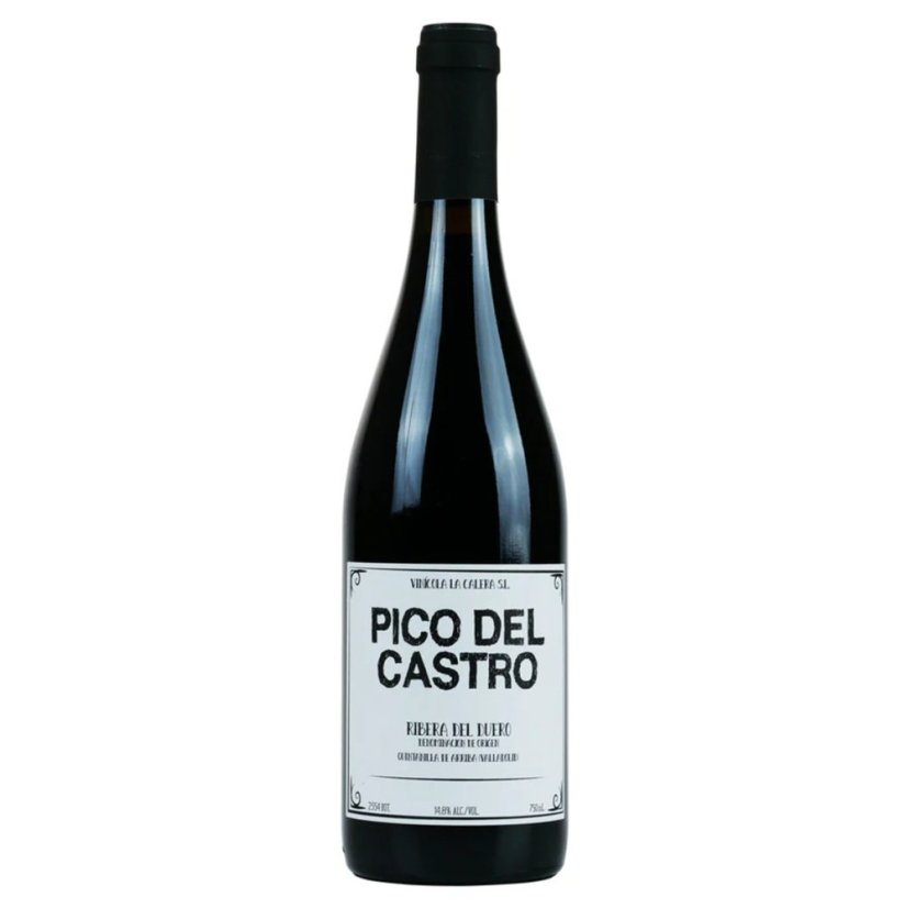 Pico del Castro Roble