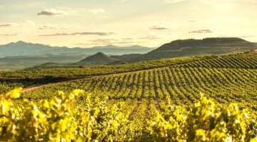 WINES4U.CZ