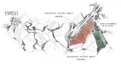 Vinice pro BIO Reservu se nacházejí v okolí vinařství