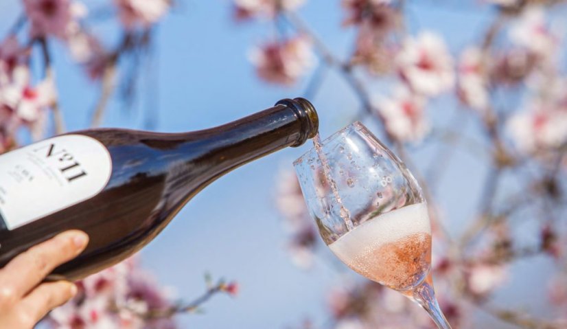 Cava DV N°11 Brut Rosé BIO