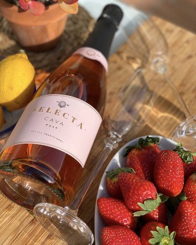 Svěží suché víno je svými ovocnými tóny ideální na romantickou chvíli nebo piknik