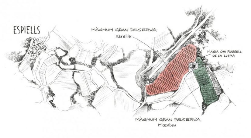 Vinice pro Gran Reserva Magnum ročníku 2014