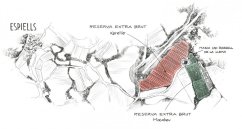 Vinice pro BIO Reservu se nacházejí v okolí vinařství Vinice pro BIO Reservu se nacházejí v okolí vinařství