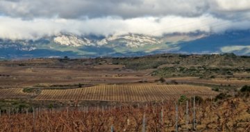 Oblast Rioja se v "zimním spánku" připravuje na další skvělý ročník vína