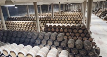 Oblast Rioja a zrání vína - to jsou nekonečné kupy dubových sudů 
