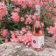 Domaine Fontanel Initium Rosé
