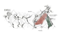 Vinice pro Viader Corpinnat Finca La Llena Brut Nature