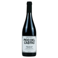 Pico del Castro Roble
