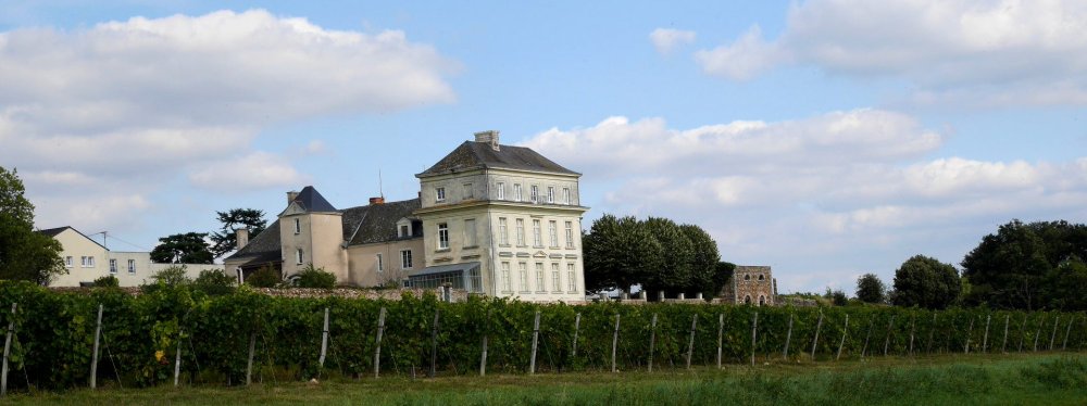 Chateau d'Avrillé