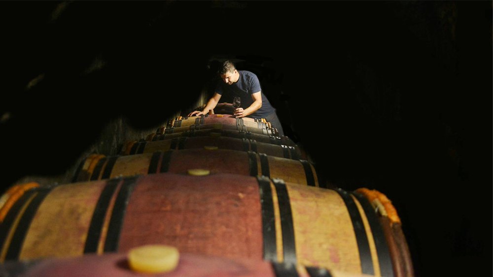 Domaine Fontanel - zrání červených vín v dubu