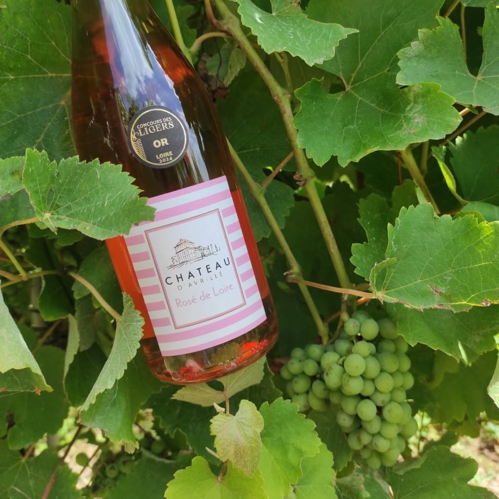 Růžové z vinařství Chateau d'Avrillé