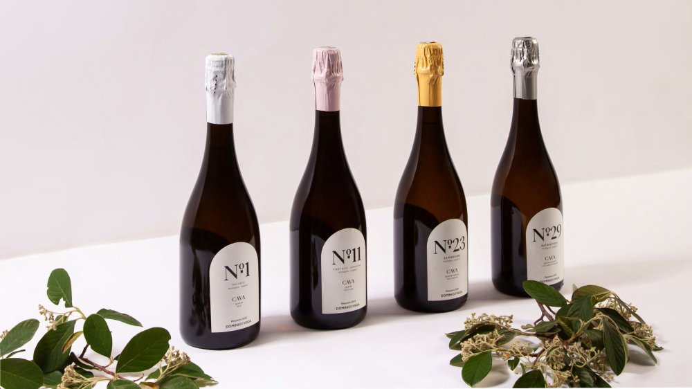 Cava z vinařství Domino de la Vega