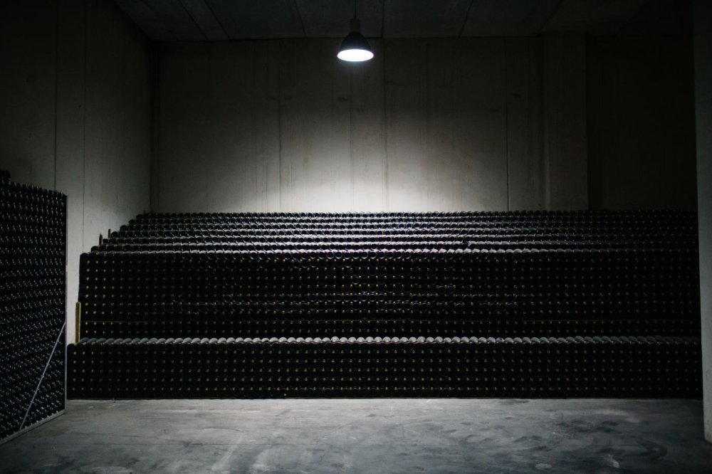 Domino de la Vega zrání Cava