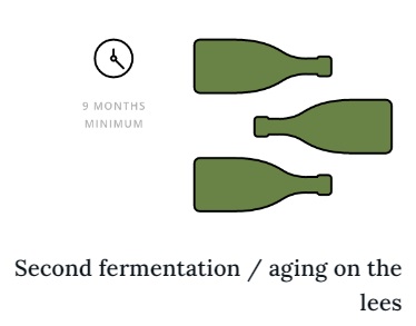 Sekundární fermentace a zrání vína v lahvích na kalech