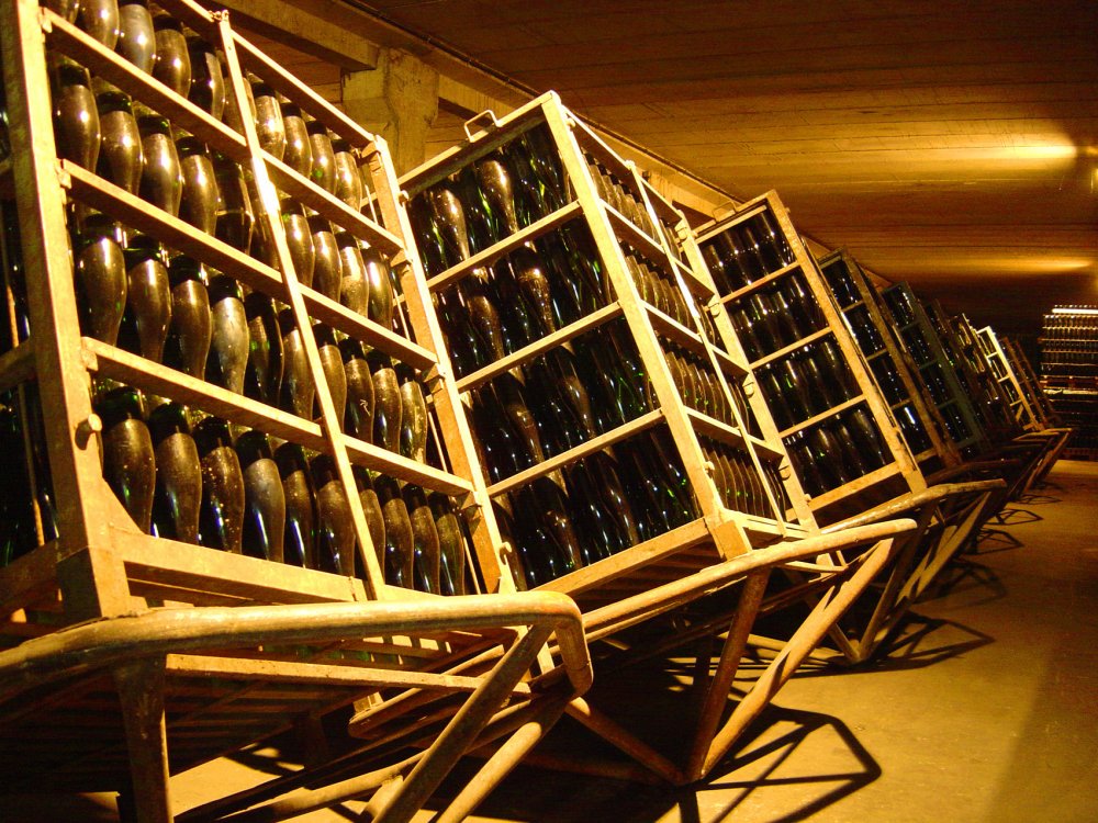 Gyropalety v vinařství Vins del Terme